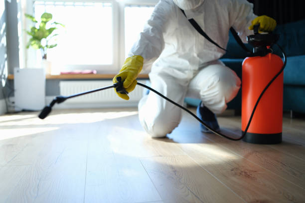 Reliable Odor Removal contractor in Placerville, CA by Trauma Clean Pros